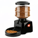 Automatic Pet Feeder - calderonconcepts