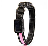 LED solar luminous collar