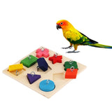 Pet Educational Toy - calderonconcepts