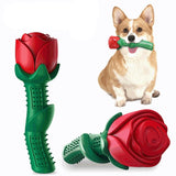 Dog Toothbrush