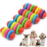 Pet Dental Chew Toy