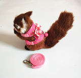 Small Pet Hamster Rabbit Harness - calderonconcepts