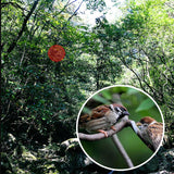 Monocular Camp Hike Hunting Fishing Pocket Tool - calderonconcepts