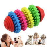Pet Dental Chew Toy