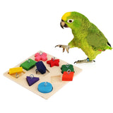 Pet Educational Toy - calderonconcepts