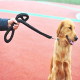 Nylon Dog Harness Leash - calderonconcepts