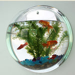 Wall Mounted Fish Tank