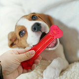 Durable Dog Chew Toy\
