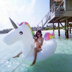 Giant Inflatable Unicorn - calderonconcepts