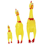 Screaming Chicken Squeeze Toy - calderonconcepts