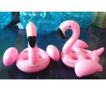 Inflatable Flamingo - calderonconcepts