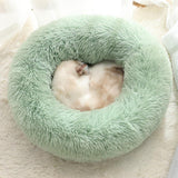 Pet Comfy Bed