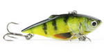 Lifelike Fishing Lure - calderonconcepts