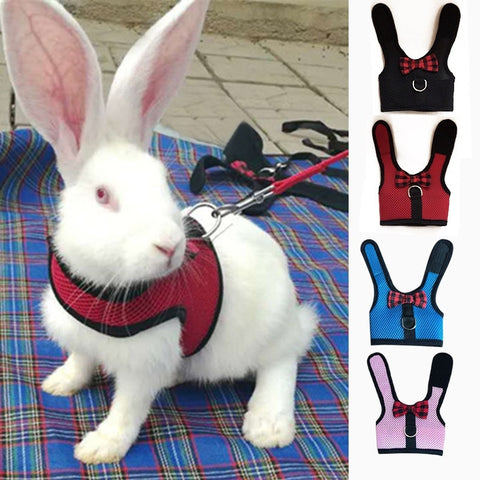 Rabbits Hamster Vest Harness - calderonconcepts