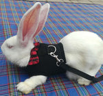 Rabbits Hamster Vest Harness - calderonconcepts