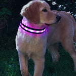Nylon LED Pet Dog Collar - calderonconcepts